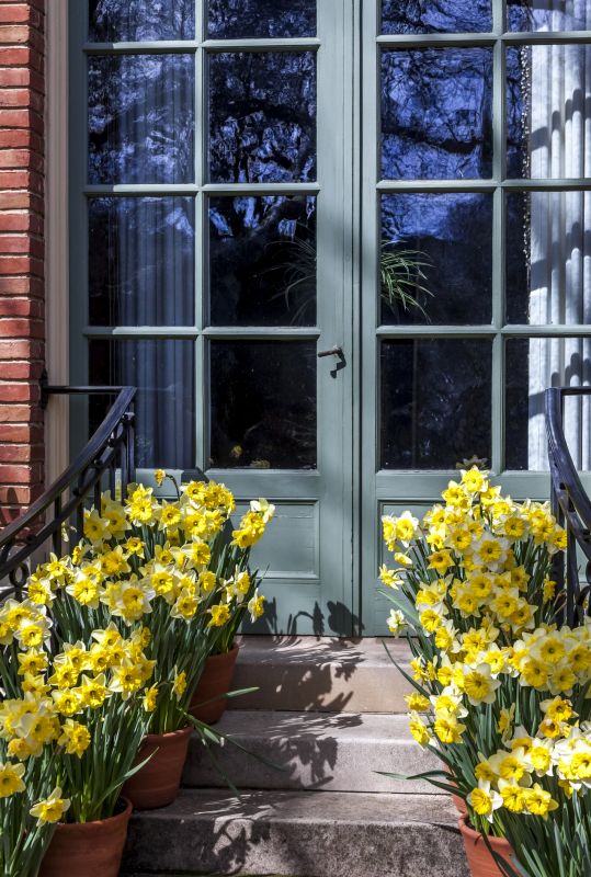 French Doors Repair